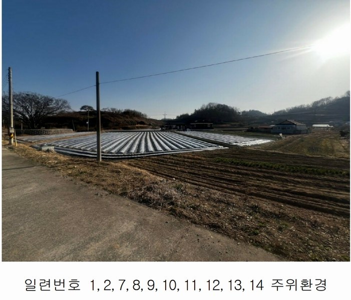 2025타경20413 경상남도 함안군 칠서면 용성리 645 농지 경매 이미지