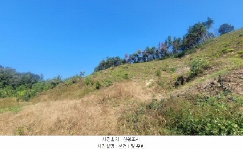 2025타경20929 경상남도 함안군 칠북면 덕남리 산74 임야 경매 이미지