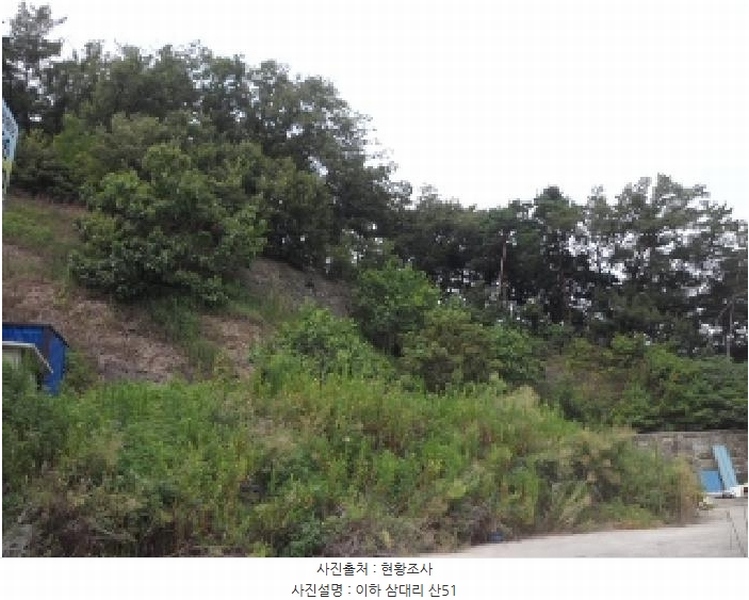 2025타경31505 경상북도 고령군 성산면 삼대리 산51 임야 경매 이미지