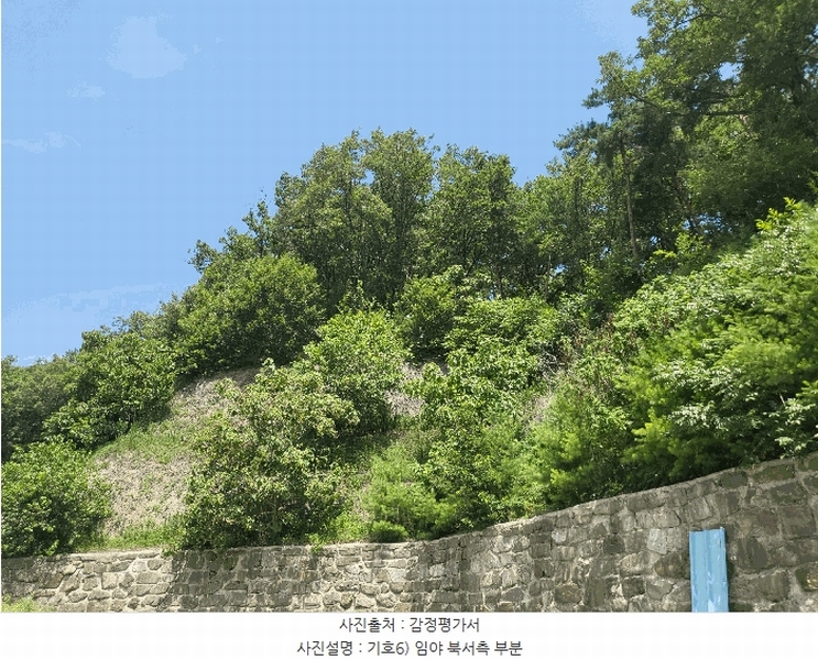 2025타경31505 경상북도 고령군 성산면 삼대리 산51 임야 경매 이미지