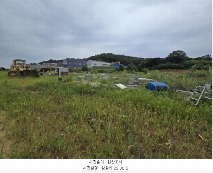 2025타경972 경상북도 영천시 금호읍 삼호리 29 임야 경매 이미지