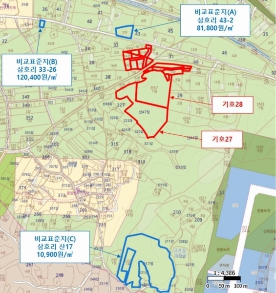 2025타경972 경상북도 영천시 금호읍 삼호리 29 임야 경매 이미지