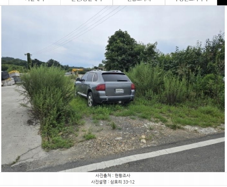 2025타경972 경상북도 영천시 금호읍 삼호리 29 임야 경매 이미지