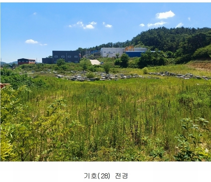 2025타경972 경상북도 영천시 금호읍 삼호리 29 임야 경매 이미지
