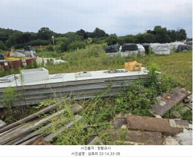 2025타경972 경상북도 영천시 금호읍 삼호리 29 임야 경매 이미지