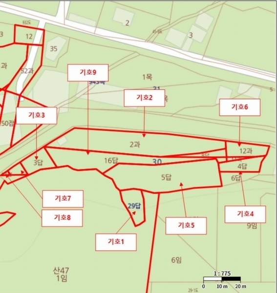 2025타경972 경상북도 영천시 금호읍 삼호리 29 임야 경매 이미지