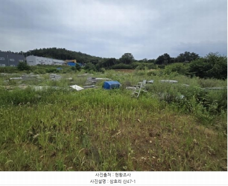 2025타경972 경상북도 영천시 금호읍 삼호리 29 임야 경매 이미지