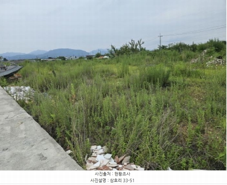2025타경972 경상북도 영천시 금호읍 삼호리 29 임야 경매 이미지