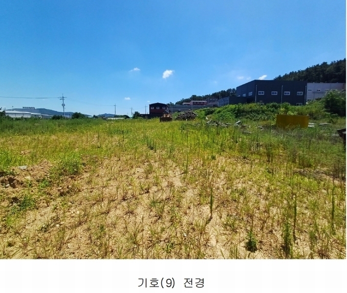 2025타경972 경상북도 영천시 금호읍 삼호리 29 임야 경매 이미지