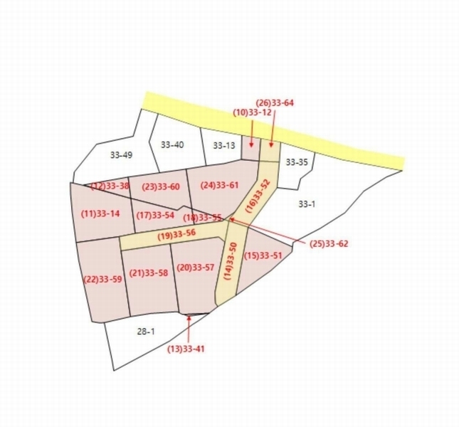 2025타경972 경상북도 영천시 금호읍 삼호리 29 임야 경매 이미지