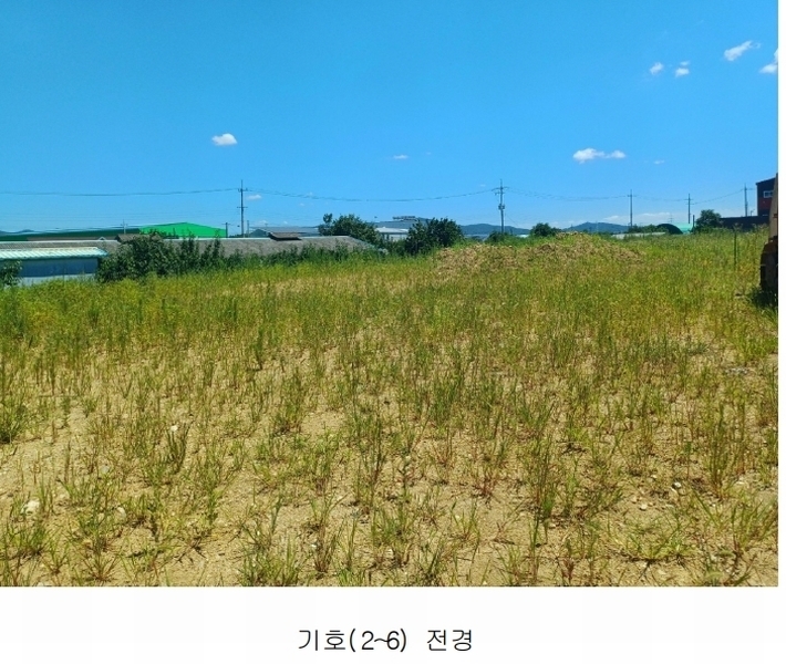 2025타경972 경상북도 영천시 금호읍 삼호리 29 임야 경매 이미지