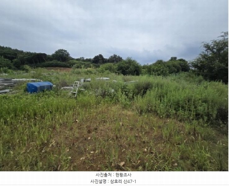 2025타경972 경상북도 영천시 금호읍 삼호리 29 임야 경매 이미지
