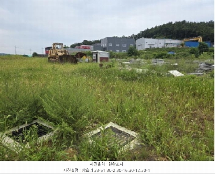 2025타경972 경상북도 영천시 금호읍 삼호리 29 임야 경매 이미지