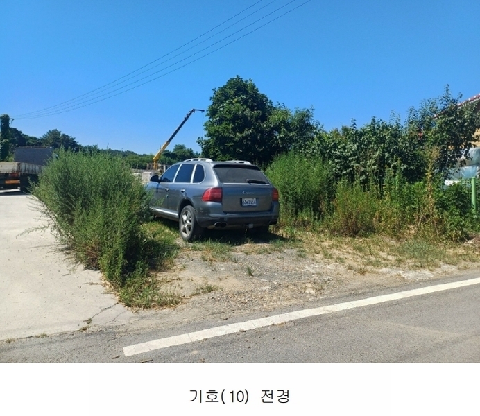2025타경972 경상북도 영천시 금호읍 삼호리 29 임야 경매 이미지