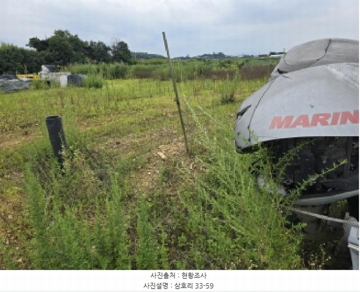2025타경972 경상북도 영천시 금호읍 삼호리 29 임야 경매 이미지
