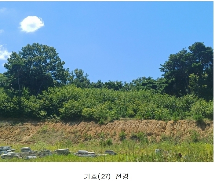 2025타경972 경상북도 영천시 금호읍 삼호리 29 임야 경매 이미지
