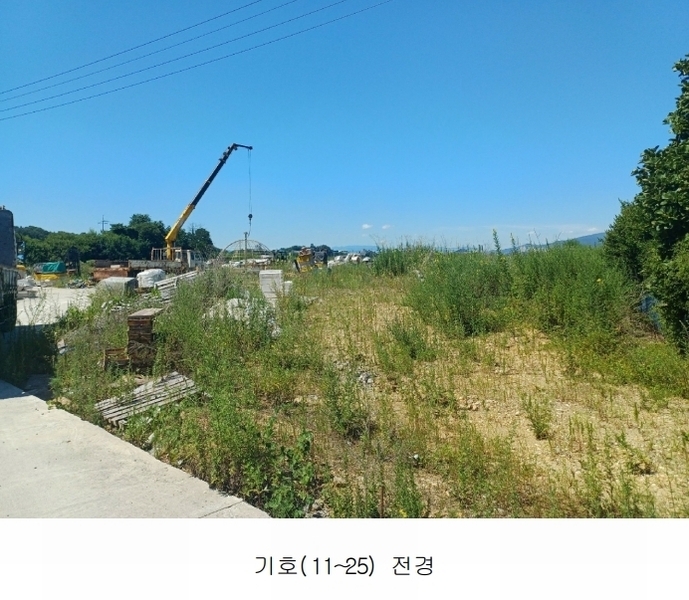 2025타경972 경상북도 영천시 금호읍 삼호리 29 임야 경매 이미지