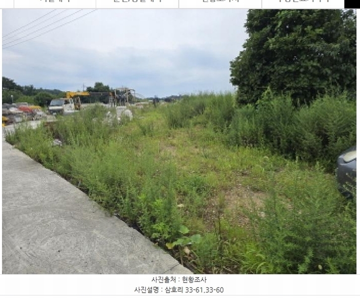 2025타경972 경상북도 영천시 금호읍 삼호리 29 임야 경매 이미지