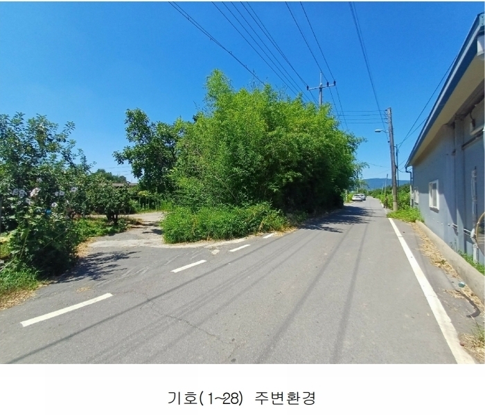 2025타경972 경상북도 영천시 금호읍 삼호리 29 임야 경매 이미지