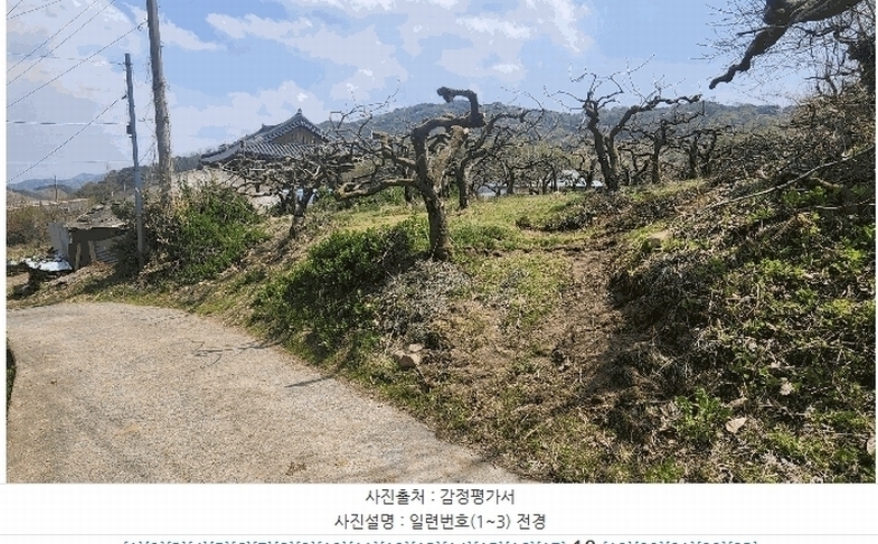 경매 이미지