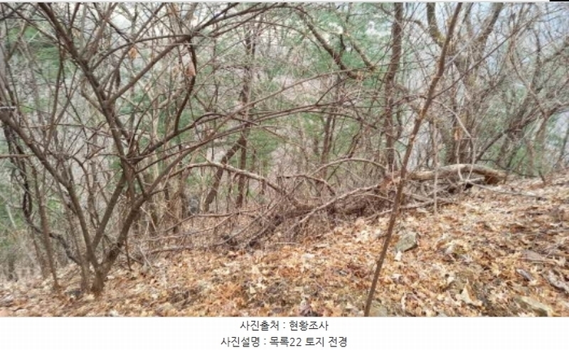 2024타경72144 경기도 포천시 관인면 사정리 산451 임야 경매 이미지