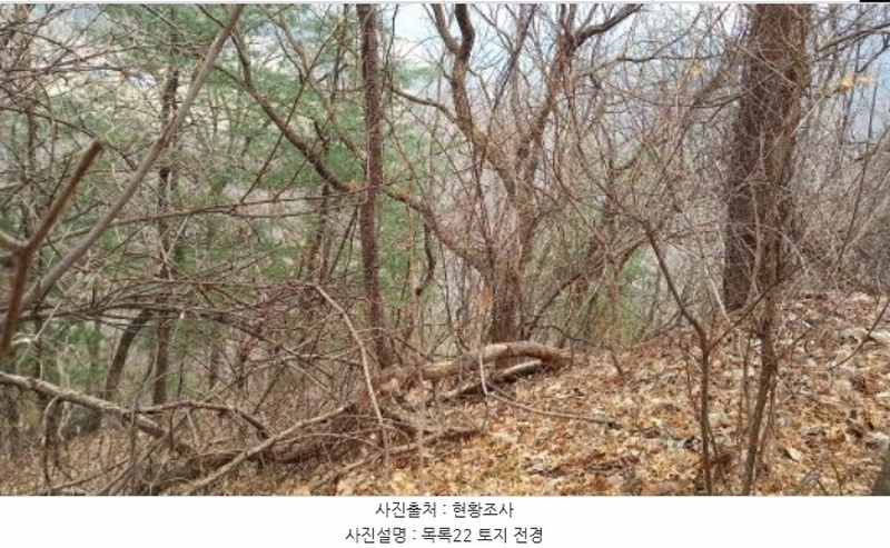2024타경72144 경기도 포천시 관인면 사정리 산451 임야 경매 이미지