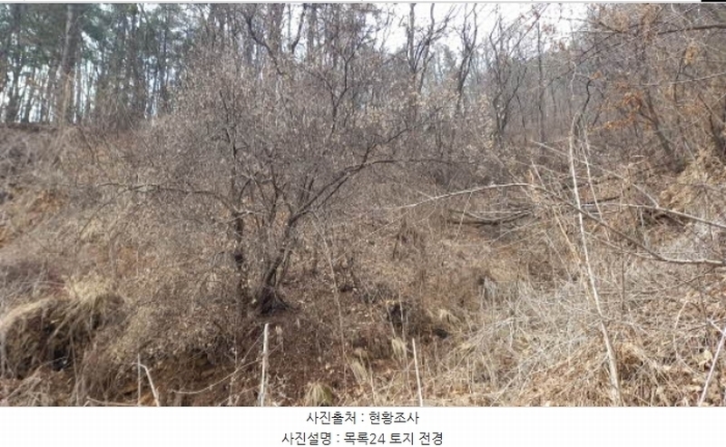 2024타경72144 경기도 포천시 관인면 사정리 산451 임야 경매 이미지
