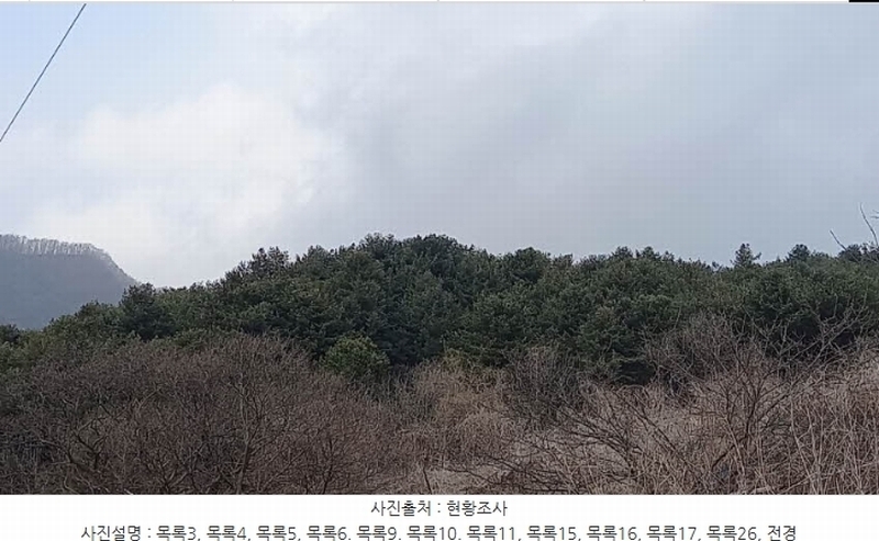 2024타경72144 경기도 포천시 관인면 사정리 산451 임야 경매 이미지