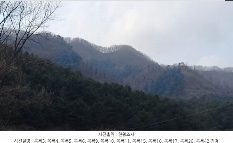 2024타경72144 경기도 포천시 관인면 사정리 산451 임야 경매 이미지