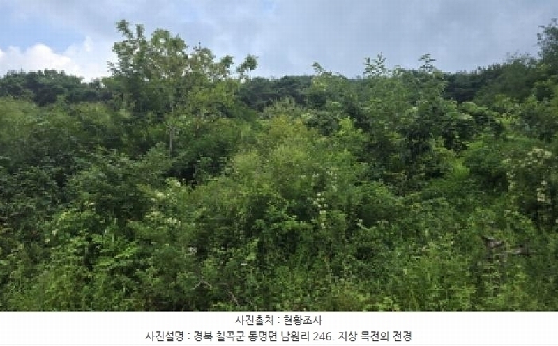 2025타경977 경상북도 칠곡군 동명면 남원리 246 농지 경매 이미지