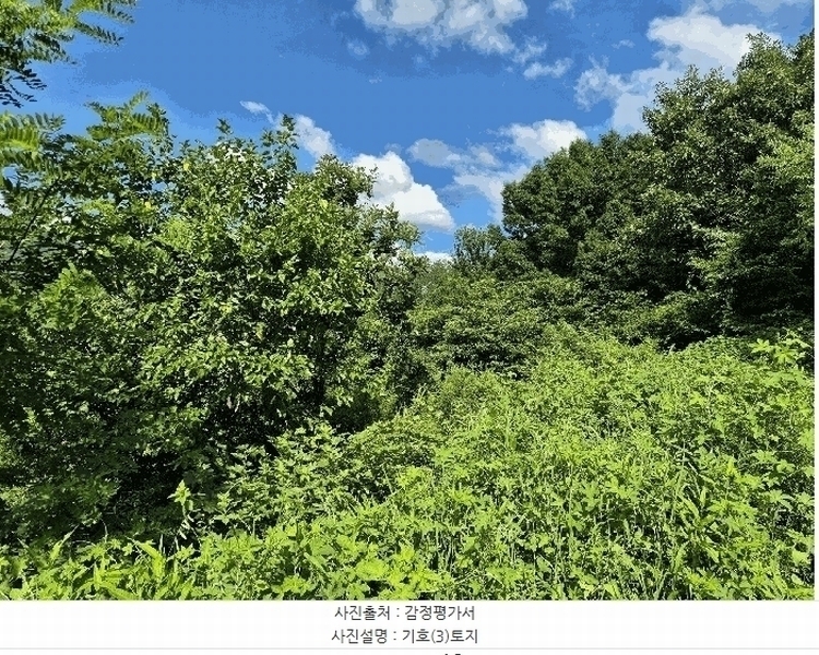 2025타경977 경상북도 칠곡군 동명면 남원리 246 농지 경매 이미지