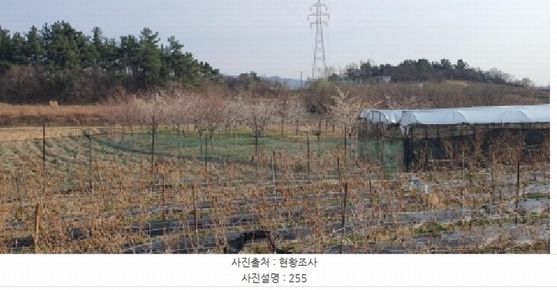 2025타경6745 경상북도 경산시 진량읍 평사리(平沙里) 255 농지 경매 이미지
