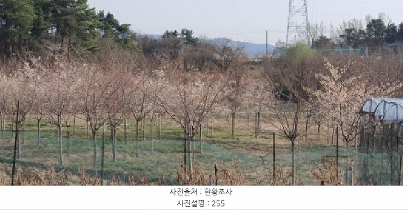 2025타경6745 경상북도 경산시 진량읍 평사리(平沙里) 255 농지 경매 이미지