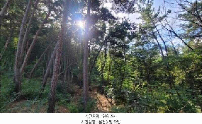 2025타경306 경상남도 함안군 법수면 강주리 산16-3 임야 경매 이미지