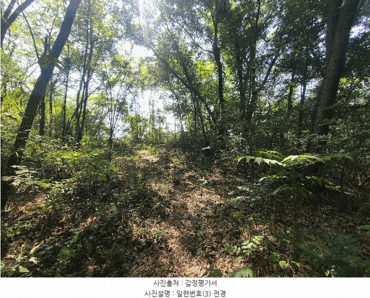 2025타경306 경상남도 함안군 법수면 강주리 산16-3 임야 경매 이미지