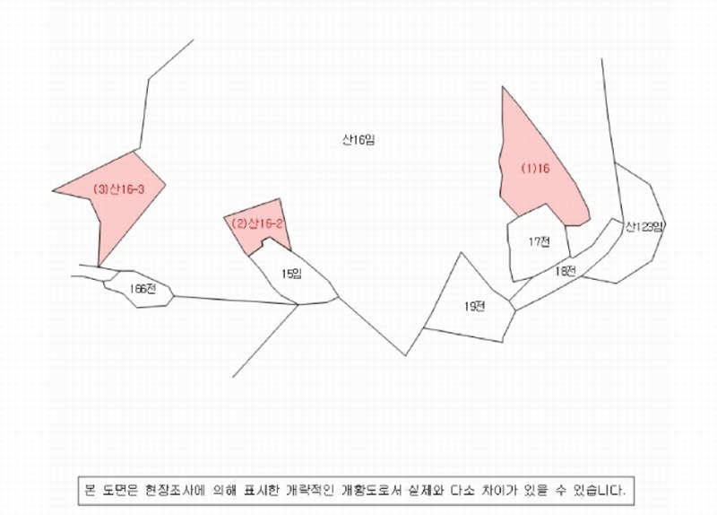 2025타경306 경상남도 함안군 법수면 강주리 산16-3 임야 경매 이미지