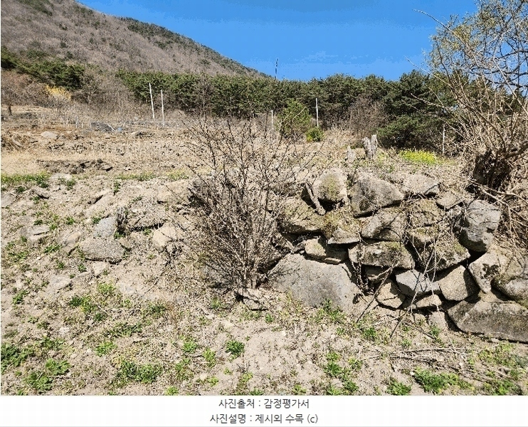 2025타경10513 경상남도 창녕군 성산면 대산리 520-2 농지 경매 이미지