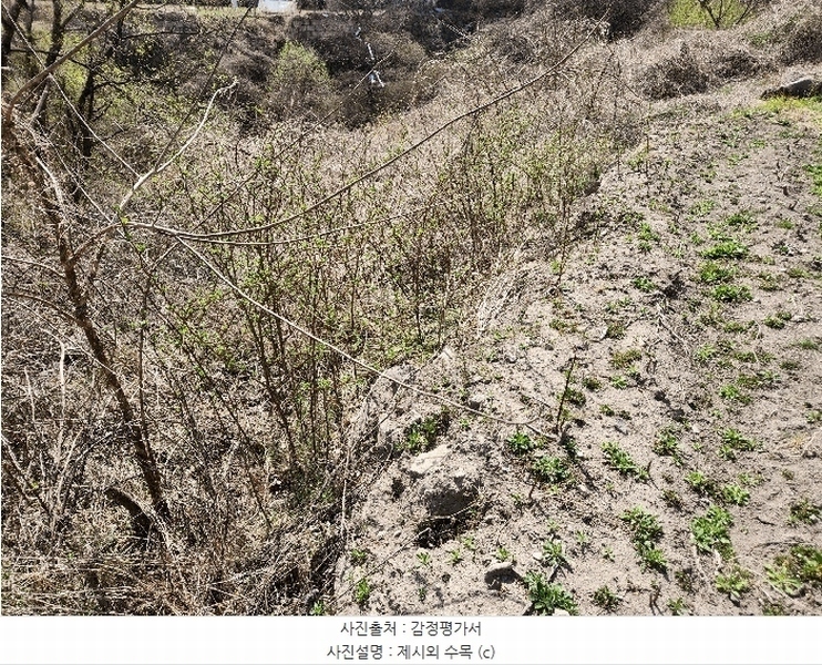 2025타경10513 경상남도 창녕군 성산면 대산리 520-2 농지 경매 이미지