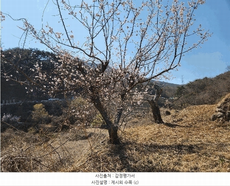 2025타경10513 경상남도 창녕군 성산면 대산리 520-2 농지 경매 이미지