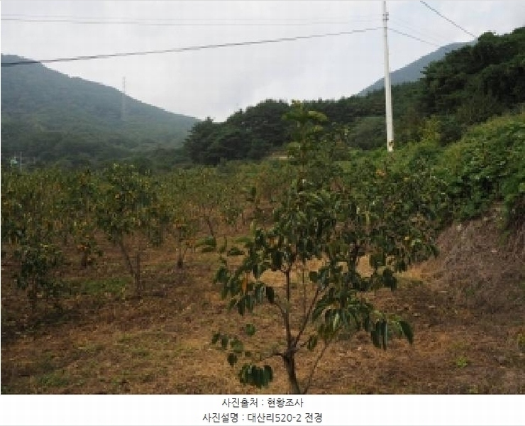 2025타경10513 경상남도 창녕군 성산면 대산리 520-2 농지 경매 이미지