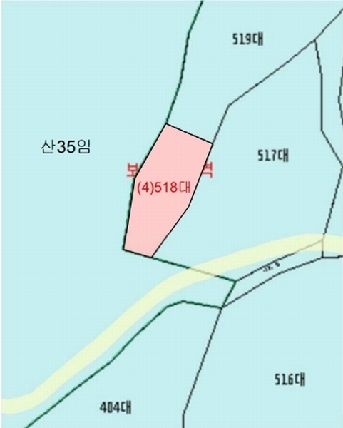 2025타경10513 경상남도 창녕군 성산면 대산리 518 대지 경매 이미지