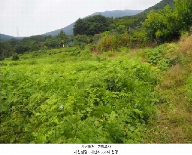 2025타경10513 경상남도 창녕군 성산면 대산리 555 농지 경매 이미지