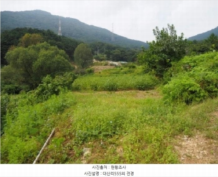 2025타경10513 경상남도 창녕군 성산면 대산리 555 농지 경매 이미지