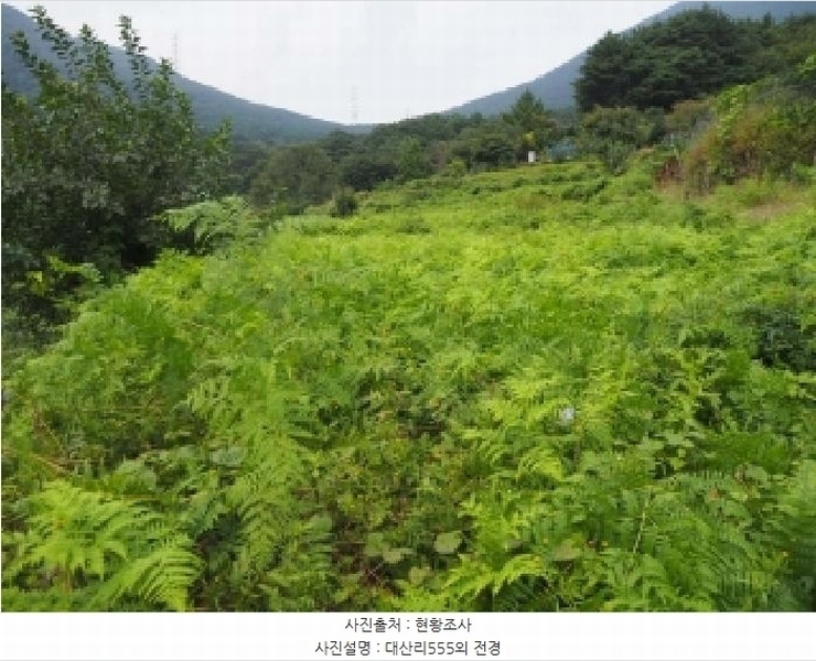 2025타경10513 경상남도 창녕군 성산면 대산리 555 농지 경매 이미지