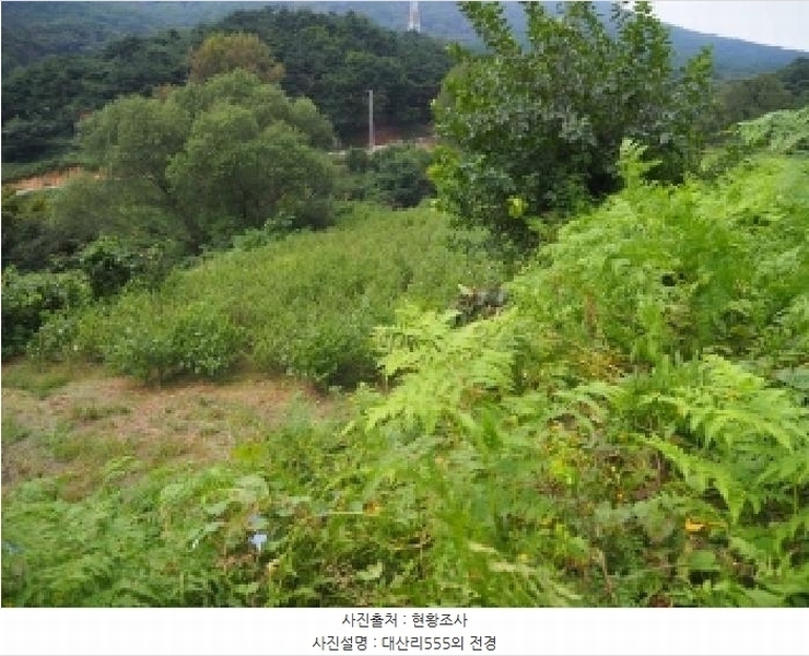2025타경10513 경상남도 창녕군 성산면 대산리 555 농지 경매 이미지