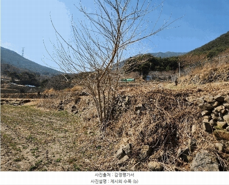2025타경10513 경상남도 창녕군 성산면 대산리 555 농지 경매 이미지