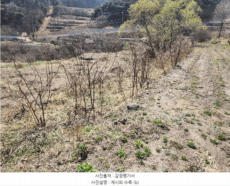 2025타경10513 경상남도 창녕군 성산면 대산리 555 농지 경매 이미지