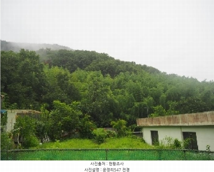 2025타경1554 경상남도 밀양시 무안면 운정리 547 농지 경매 이미지