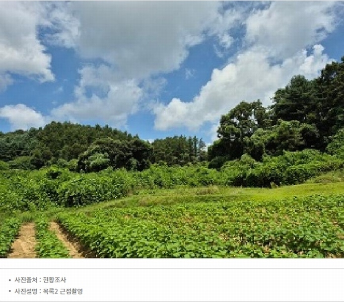 2024타경315 강원특별자치도 원주시 지정면 가곡리 997-2 도로 경매 이미지