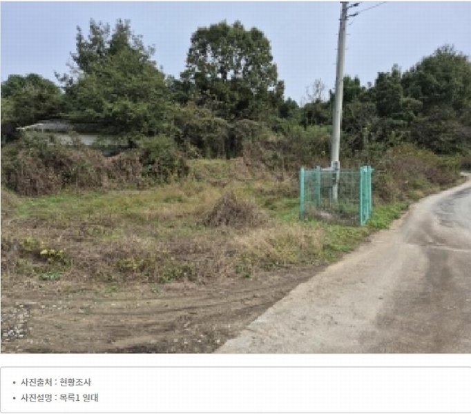 2024타경315 강원특별자치도 원주시 지정면 가곡리 997-2 도로 경매 이미지